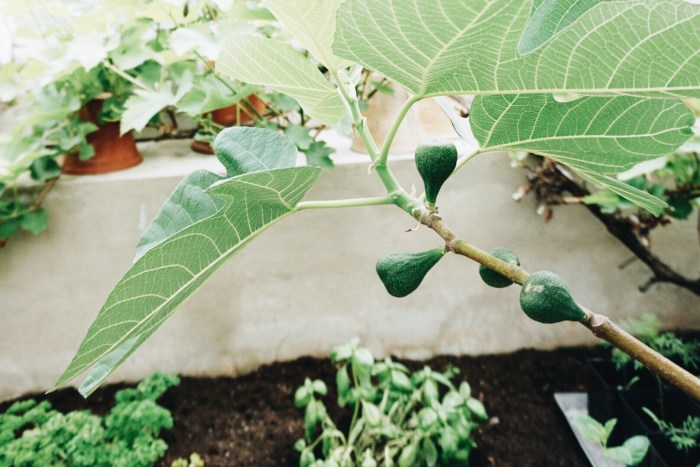 Processed with VSCO with a6 preset