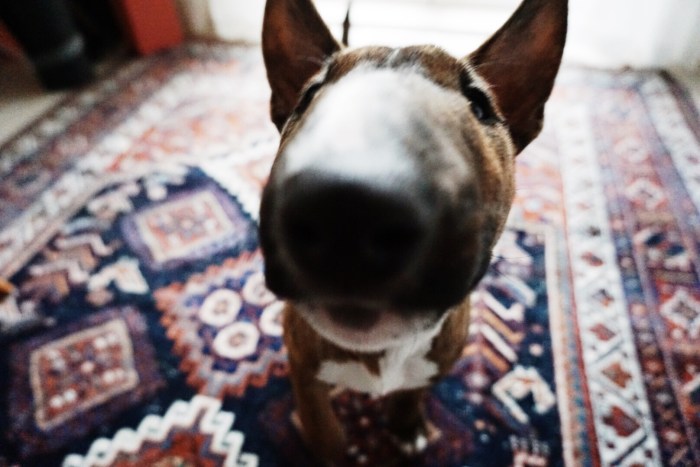 Processed with VSCO with s2 preset